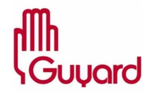 European Safety Co Logo